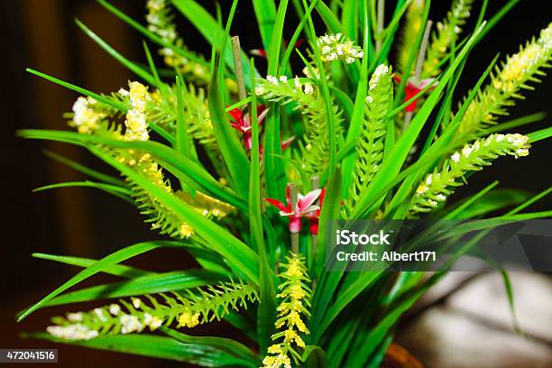 Artificial Plant As Indoor Decoration Stock Photo - Download Image Now - 2015, Decoration, Flash