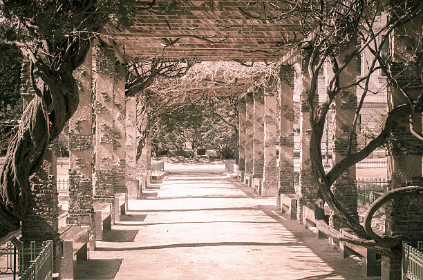 istock Pergola tunnel of climbing plant 472041830