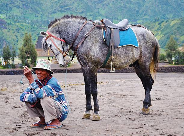 indonesischen mann und pferd am fuße des mount bromo - bromo crater stock-fotos und bilder