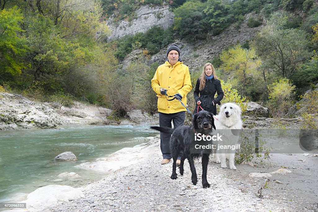 Couple marchant avec deux chiens dans la campagne - Photo de Activité libre de droits