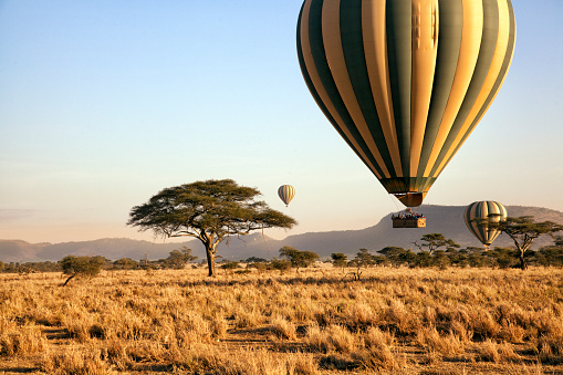 Paseo en globo aerostático sobre el Serengeti, Tanzania photo