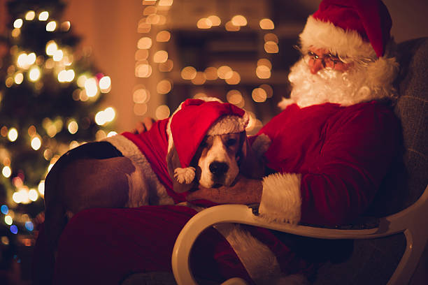 père noël et son little helper - santa dog photos et images de collection