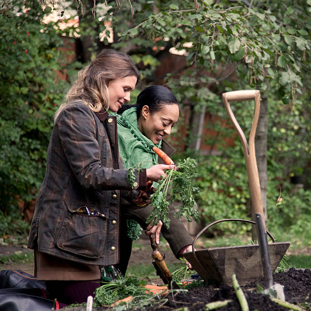 istock Young woman gardening 472048527