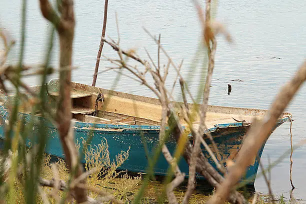 Old traditional blue wooden rowboat stranded on a beautiful lake on a sunny day in Marseillan. This location is where The Canal du Midi Thau joins the étang de Thau at Onglous in the South of Marseillan in the Hérault.