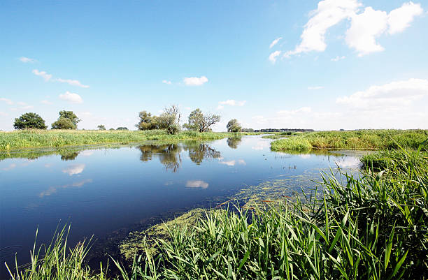 川の風景をハヴェル（ブランデンブルグ) - untere havel ストックフォトと画像