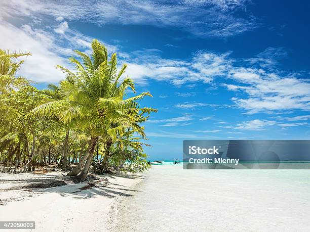 Traumhochzeit Am Strand Für Perfekten Sommerurlaub Stockfoto und mehr Bilder von Bora Bora-Atoll - Bora Bora-Atoll, Entspannung, Exotik