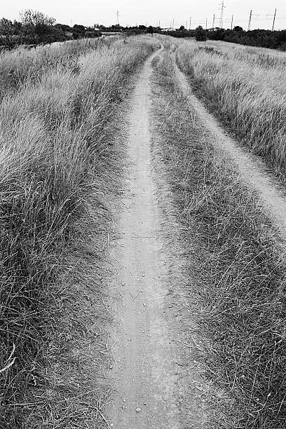 istock Path to Agde, France 472053823