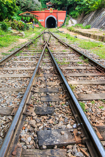 Railroad tracks and tunnel and train