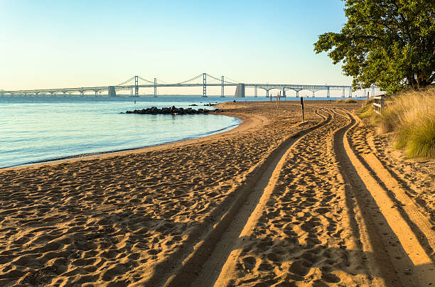 The sands of Sandy Point State Park appear golden as the sun rises over the Chesapeake Bay, casting shadows in the deep trenches from an off-road vehicle.  The Chesapeake Bay Bridge stretches out along the horizon under a clear blue sky.