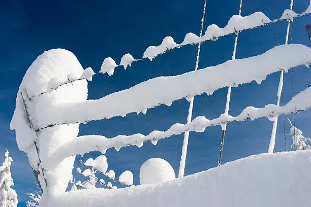 Snow covered wire fence