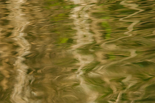 istock Green and gold abstract background 472057136