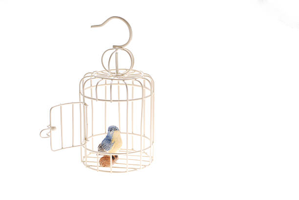 istock It is a blue bird of the happiness. 472057536