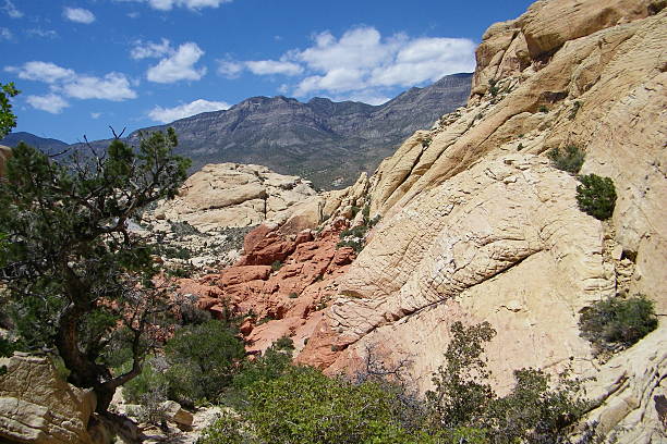 Mountain Landscape View of canyon with mountains in background at Red Rock Canyon, near Las Vegas, Nevada. jtmcdaniel stock pictures, royalty-free photos & images