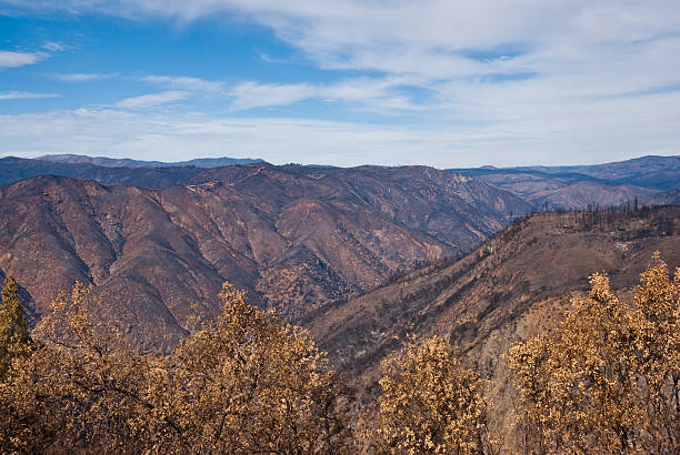 Site of the 2013 Yosemite Rim Fire Rim of the World Vista was the site of the 2013 Yosemite Rim Fire in Stanislaus National Forest, California, USA. jeff goulden environmental conservation stock pictures, royalty-free photos & images