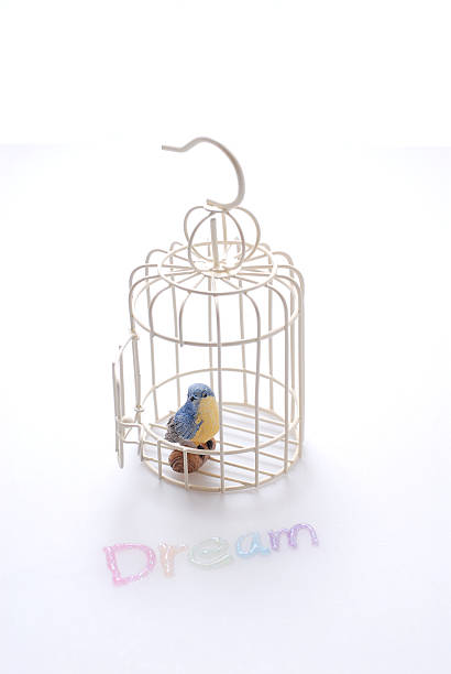 istock It is the blue bird of the dream. 472058422