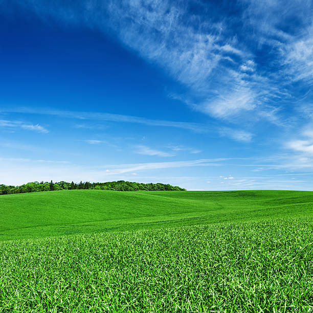 istock Square spring landscape XXXXL - meadow, blue sky 472059173