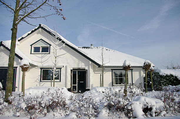 istock Winter scene in Holland 472059225