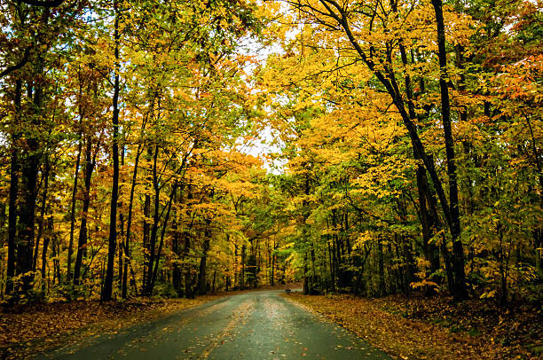 istock autumn country road 472060675