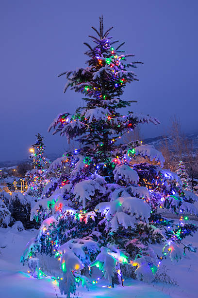 istock Outdoor Christmas Tree with Lights and Fresh Winter Snow 472061993