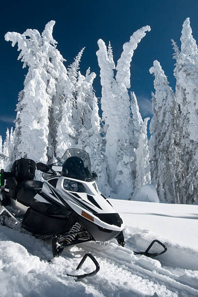 Snowmobile in hoar-frosted forest Snowmobile in foreground of a hoar frosted forest on Two Top Mountain, West Yellowstone,  Montana, USA Snowmobiling stock pictures, royalty-free photos & images