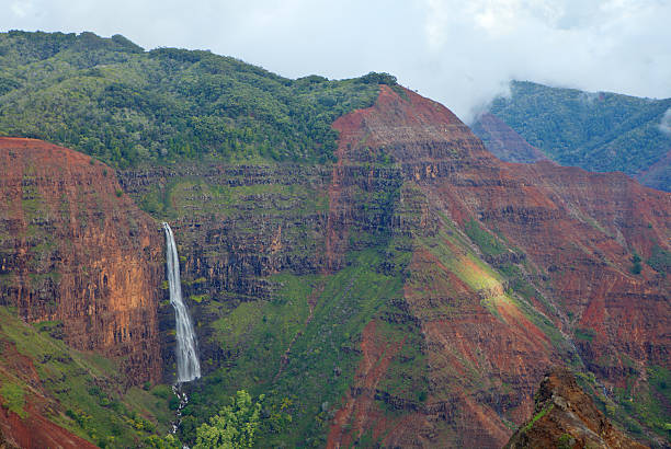 waimea canyon - kauai tropical climate green travel destinations imagens e fotografias de stock