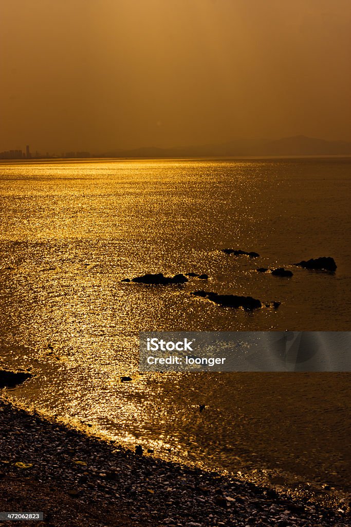 golden Morze - Zbiór zdjęć royalty-free (Bez ludzi)