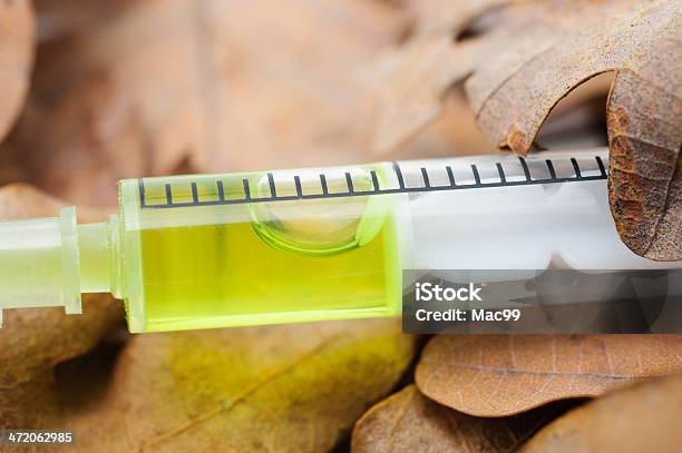 Syringe On Autumn Leafs Stock Photo - Download Image Now - Alternative Medicine, Autumn, Body Care