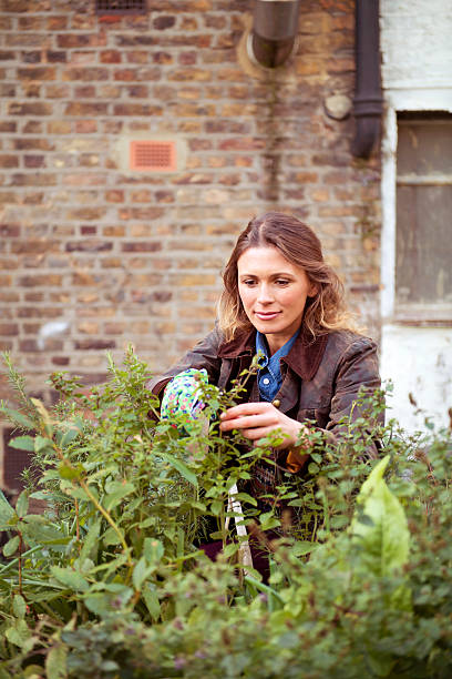 istock Woman in a garden 472063579