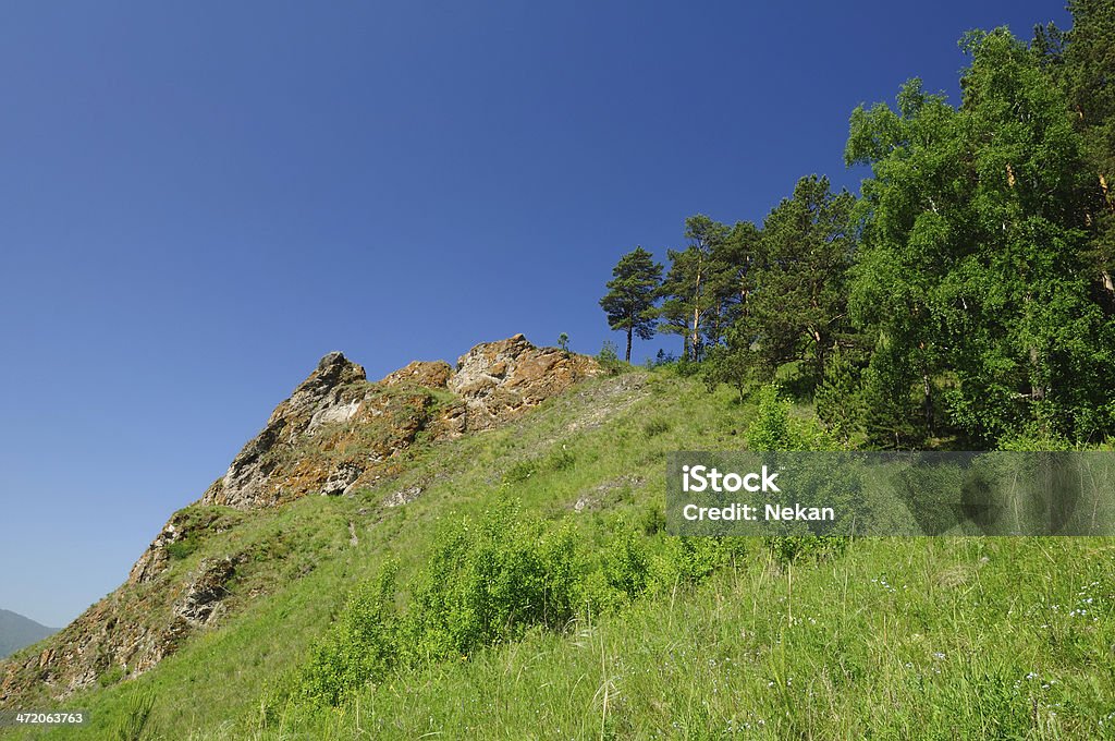 Paysage de montagne. - Photo de Arbre libre de droits