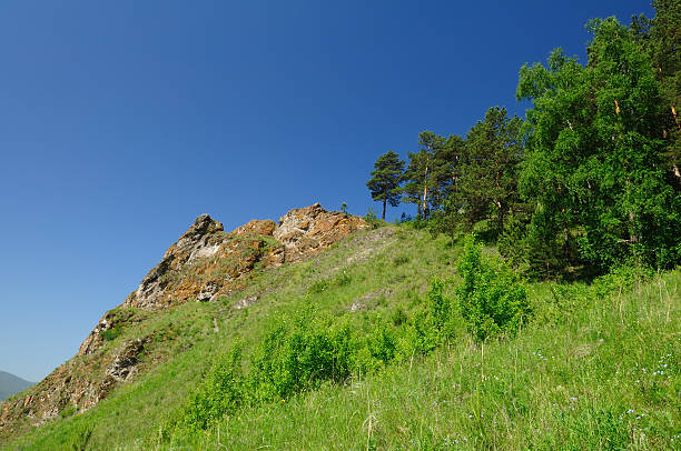 paisagem da montanha. - schreckhorn uncultivated tree summer imagens e fotografias de stock