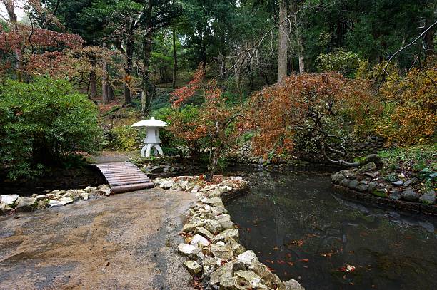 istock autumn in japanese garden 472064159