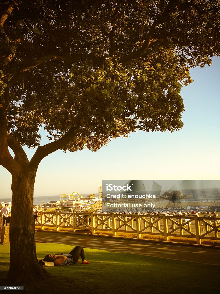 Mujer relajarse bajo el árbol en Santa Monica - Foto de stock de Acostado libre de derechos