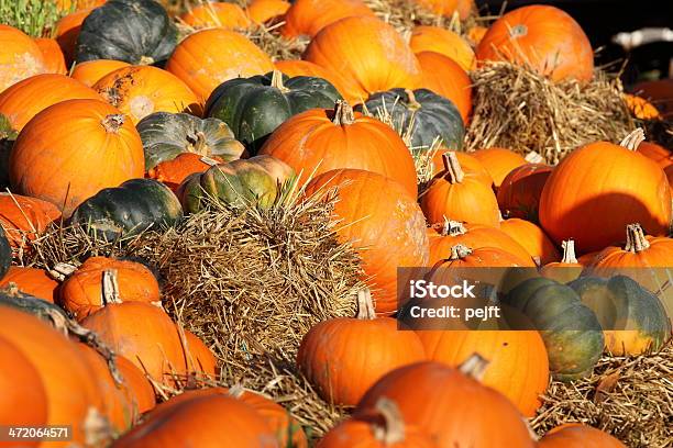 Autumn Orange Pumpkins For Halloween Stock Photo - Download Image Now - Autumn, Bumpy, Color Image