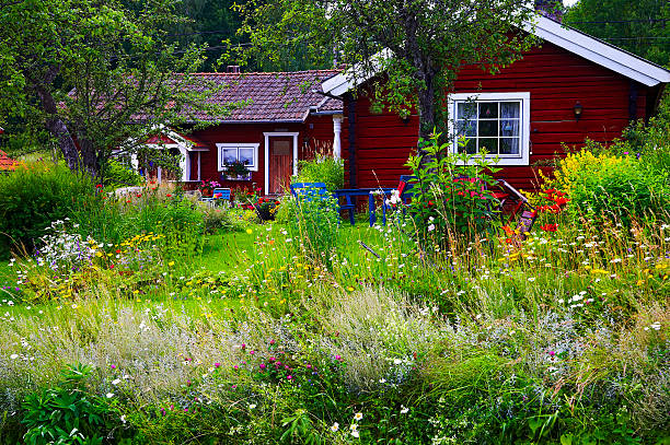 夏のコテージでは、湖と野生の花のガーデン周辺 - scandinavian lake cottage house ストックフォトと画像