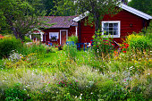 Summer cottage at the lake with wild flowers garden surrounding
