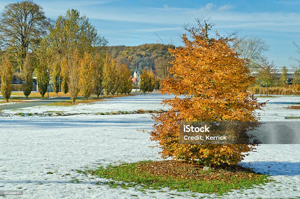 Frühen Schnee im Oktober - Lizenzfrei Ahorn Stock-Foto