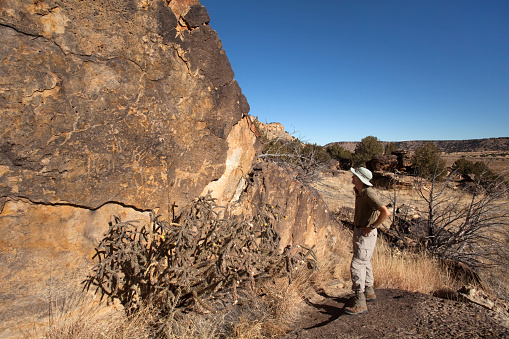 A hiker looks at the nearly thousand-year-old deer and elk like stone pecked petroglyphs in the Picket Wire Canyonlands along the Purgatoire River in the Comanche National Grasslands of southeast Colorado.