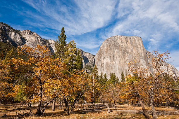 El Capitan in the Fall Grasses and Oak Trees in Yosemite Valley display their fall colors beneath the towering monolith of El Capitan in Yosemite National Park, California, USA. jeff goulden yosemite national park stock pictures, royalty-free photos & images