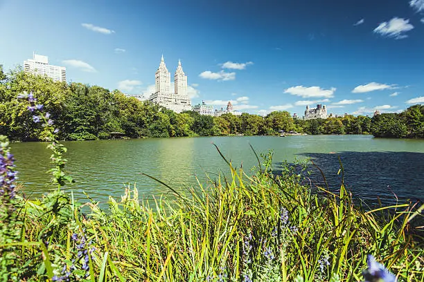 Central park in spring