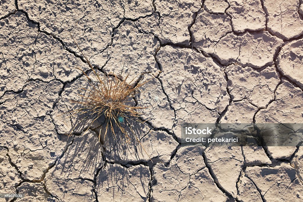 Sol fissuré - Photo de Accident et désastre libre de droits