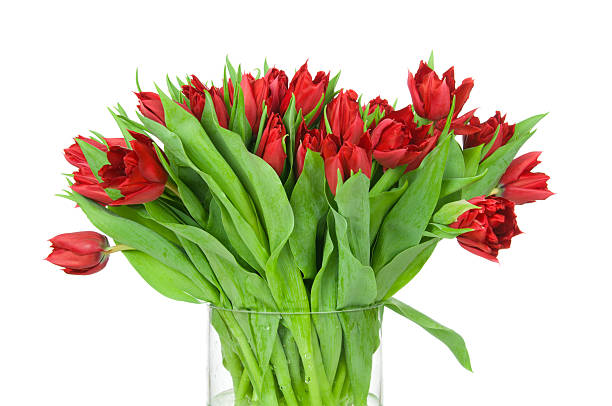 istock Tulips in the vase 472071322