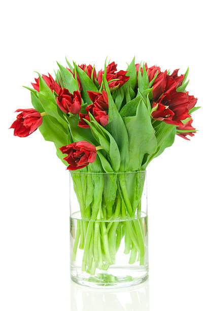 istock Tulips in the vase 472071386