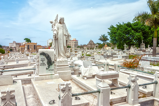Havana, Cuba - April 29, 2008: Colon Cemetery graves and tombs under clear sky located in vedado neighbourhood, so called Cementerio de Cristobal Colon in spanish.