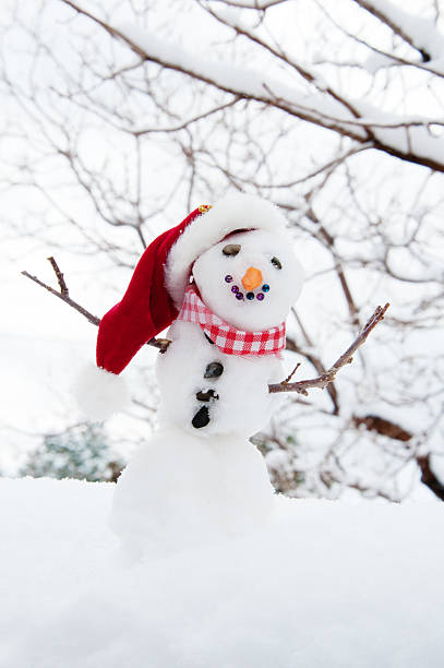 istock Cute Snowman with Santa Hat 472072023