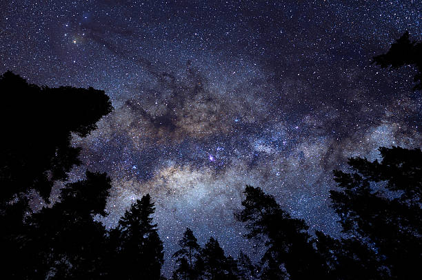 Photo of Milky Way