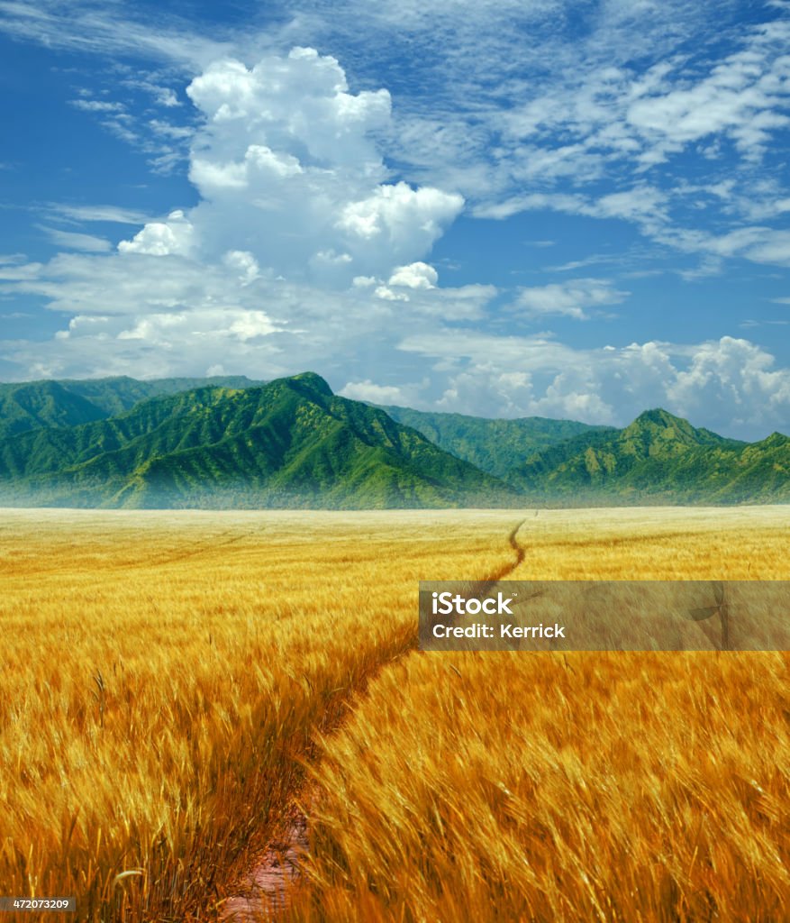 grainfield in fantasy Landschaft - Lizenzfrei Ernten Stock-Foto