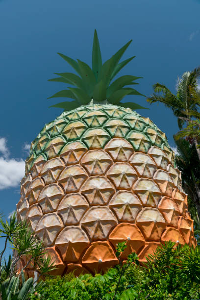 Woombye, Australia - December 7, 2013: Image shows the Big Pineapple - a tourist attraction on the Sunshine Coast, Queensland, Australia