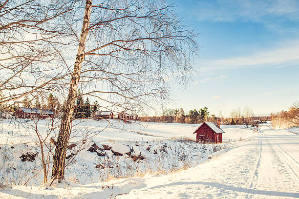 зима в швеции - awe non urban scene rural scene minus degrees стоковые фото и изображения