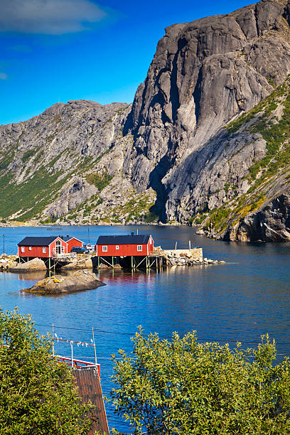 Norway village in sea, Lofoten, Nusfjord Norway village in sea, Lofoten, Nusfjord reine lofoten stock pictures, royalty-free photos & images