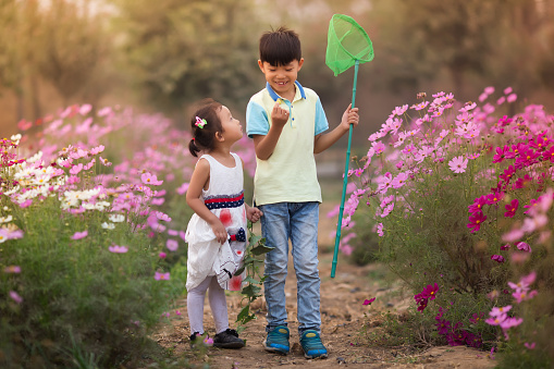 Asian boy and girl caught a butterfly in the garden